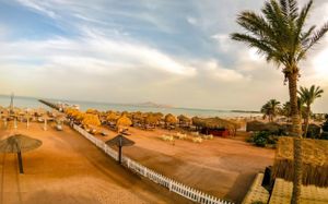 royal regency club sharm el sheikh 5*