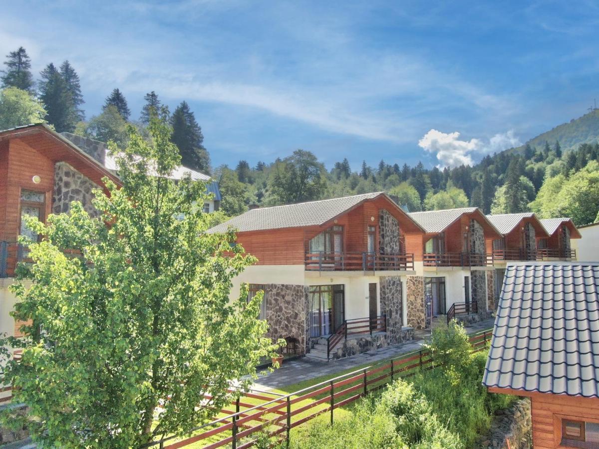 Отдых в Грузии в январе