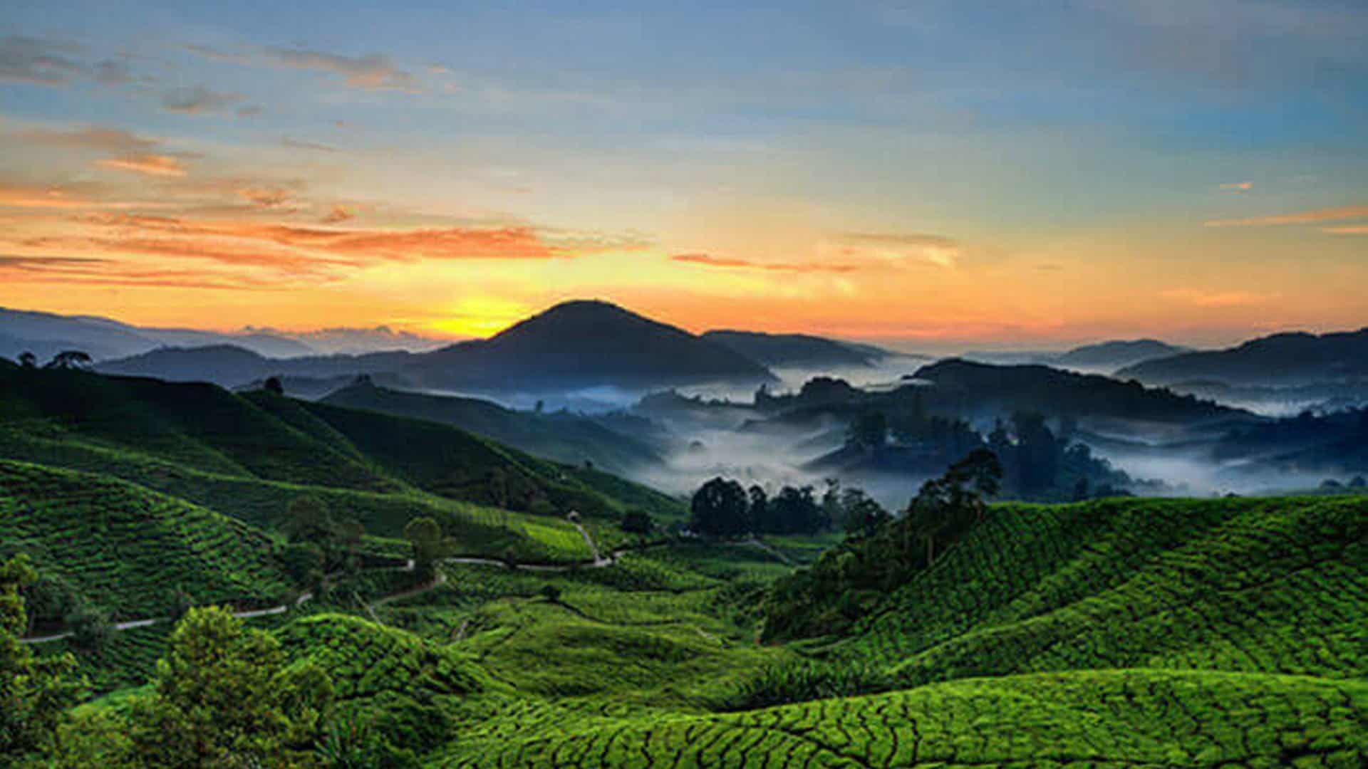 О Шри Ланке